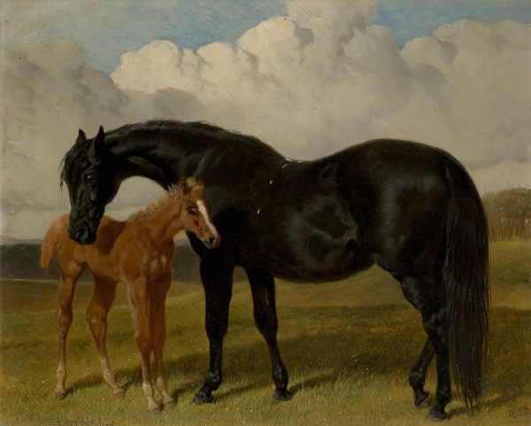 John Frederick Herring Snr,.